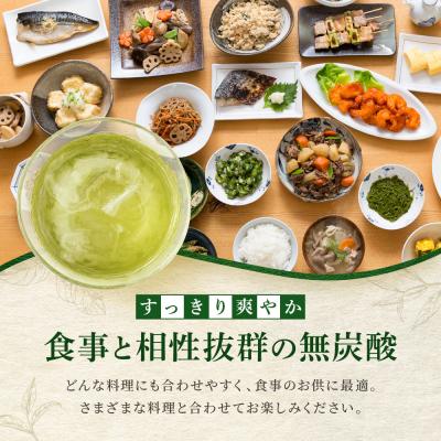 ふるさと納税 京都市 【タカラ】宝焼酎の濃いお茶割り〜カテキン2倍〜(335ml×24本)|焼酎 酎ハイ 人気セット |  | 01