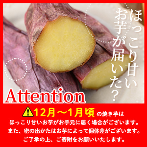 isa328 ＜予約受付中！2024年3月発送分(3月中に発送)＞ふみおじいちゃんのやきいも(紅はるか・計1.3kg)【いさ工房】
