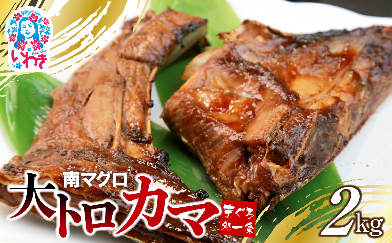 【単品】南マグロ大トロカマ2kg　加熱用　塩焼きや煮付けに【DG016】|マグロの高級種、南マグロのカマをずっしり2キロ！ジュワっとしたたるほどの脂のり♪ 塩焼き・煮付けがおススメ！ いわき市 ふるさと納税 株式会社東日本貿易