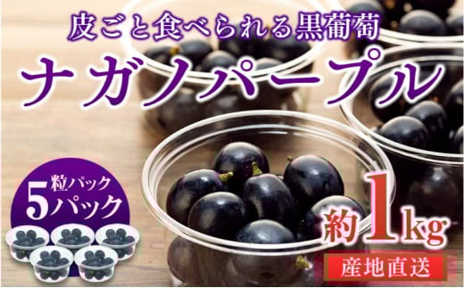 皮ごと食べられる黒葡萄 ナガノパープル 粒パック 約1kg　[№5675-1466]