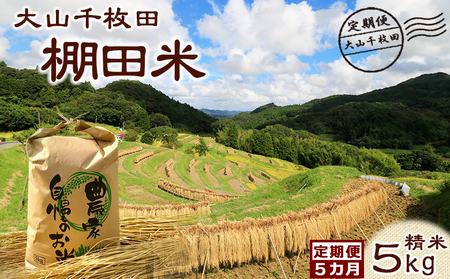 【棚田保全支援】大山千枚田の天水田育ち『棚田米』定期便 ５kg×５カ月《精米》　[0084-0003]