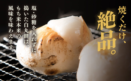 たんちょう杵つき餅セット 『つどい』 計40個 特別栽培もち米使用！ ～幻のもち米100％使用～ 【つきたて モチモチ 添加物・保存料不使用 焼いてそのままでも おやつに 餅 もち おもち お餅 丸も