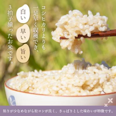 ふるさと納税 越前町 令和7年産　ハナエチゼン(玄米)　10kg |  | 02