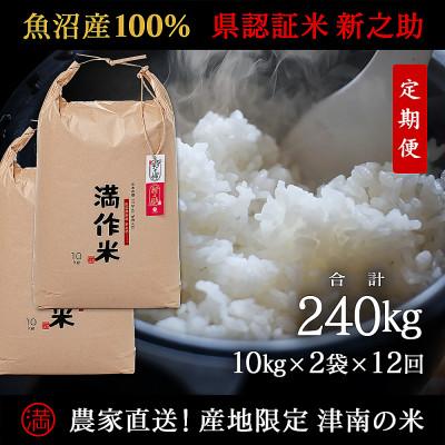 ふるさと納税 津南町 【毎月定期便】農家直送【特栽魚沼産新之助 精米 合計240kg】20kg(10kg×2袋 )全12回