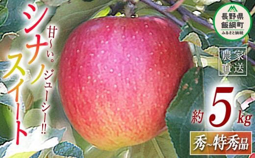 りんご シナノスイート 秀 〜 特秀 5kg 永正の地蔵尊神谷農園 沖縄県への配送不可 2025年10月上旬頃から2025年12月上旬頃まで順次発送予定 令和7年度収穫分 信州 果物 フルーツ リンゴ 林檎 長野 15500円 予約 農家直送 長野県 飯綱町 [0441]
