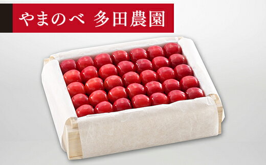 【ふるさと納税】 《先行予約》2027年 山形県産 特選佐藤錦 桐箱詰め 約500g 2L やまのべ多田耕太郎のさくらんぼ サクランボ 送料無料 F20A-505
