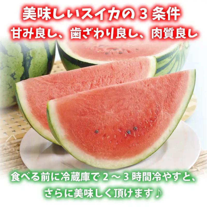 【先行予約】甘さきらめく「夏の天使」スイカ1玉 【2026年7月中旬以降順次発送予定】スイカ 西瓜 すいか 大玉 デザート 果物 お取り寄せ 産地直送 [A-1005]
