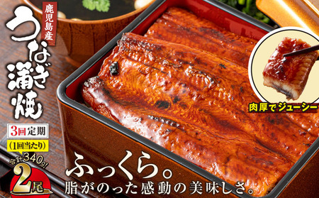 1881-3 【3回定期】鹿児島産うなぎ170g×2尾 合計340g KN021-T02 国産 本格 うなぎ 鰻 鹿児島県 定期便 ウナギ 蒲焼 冷凍 湯煎 レンジ 解凍 簡単調理 鰻丼 鰻重 ひつまぶし 魚 土用の丑 財宝 ふるさと納税 鹿児島 鹿屋市 おすすめ ランキング プレゼント ギフト