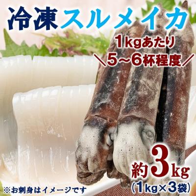 ふるさと納税 普代村 三陸水産 冷凍スルメイカ 約3kg (1kg×3袋) いか
