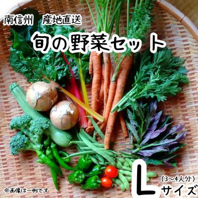 ふるさと納税 飯田市 旬の野菜セット詰め合わせ　Lサイズ 3〜4人分
