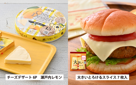 キリンラガービール 500ml 24本 と QBBチーズ 9品