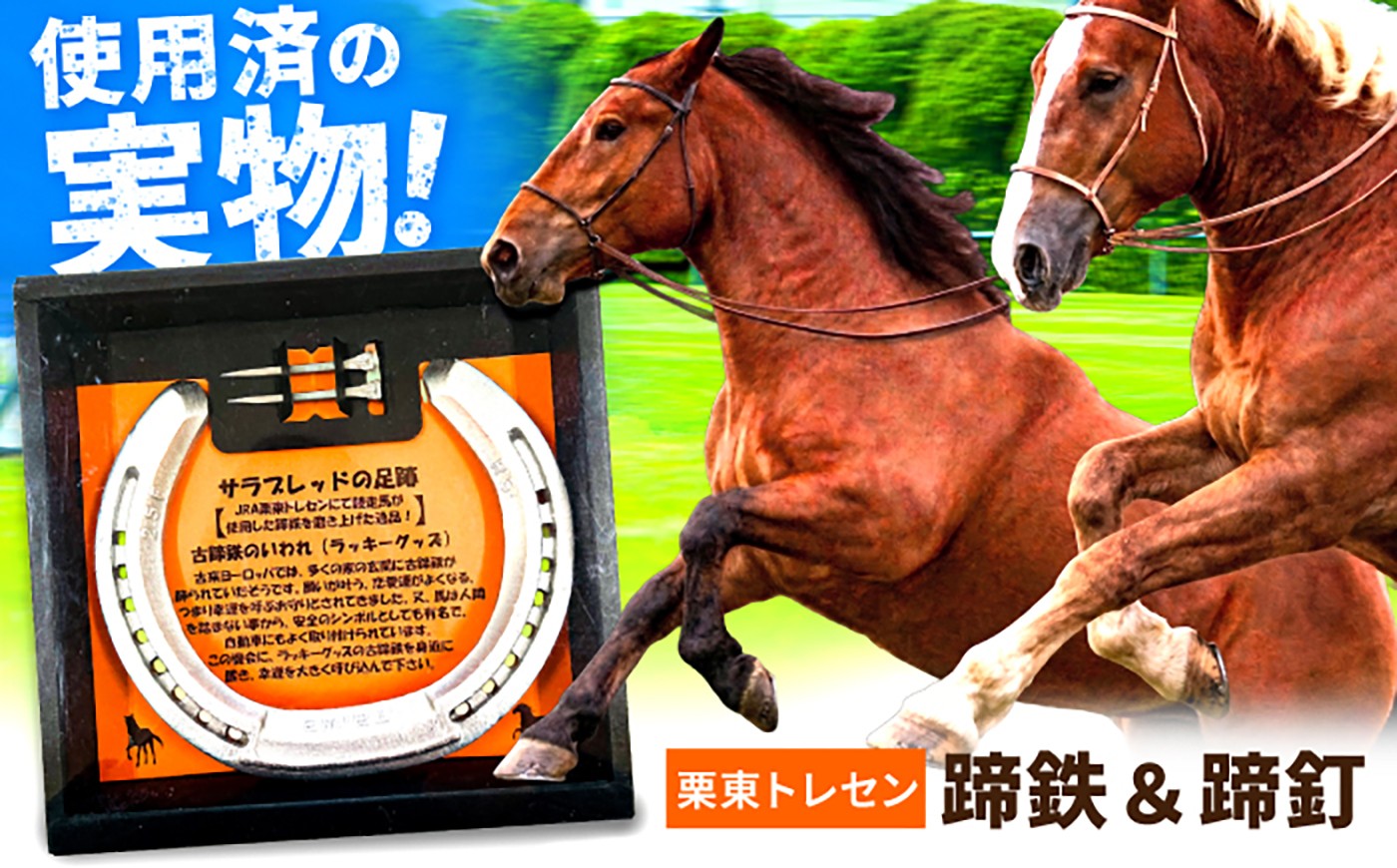 
                  競馬【JRA/日本中央競馬会】競走馬が使用した蹄鉄と蹄釘のセット / 栗東トレセン サラブレッド 競馬ファン 競馬グッズ ウマ グッズ 馬好き 蹄鉄 お守り インテリア 雑貨 幸運 開運 縁起物 魔除け コレクション 実使用 記念日 バレンタイン ホワイトデー 新生活 成人祝い 退職祝い 開店祝い ギフト プレゼント / 栗東市 / 社会福祉法人パレット・ミル [BICB001]
                