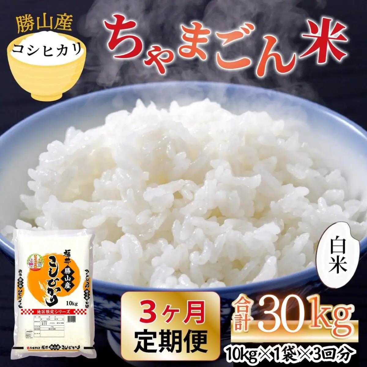 米 コシヒカリ 勝山産 ちゃまごん米 10kg×3回  定期便 [I-010022]