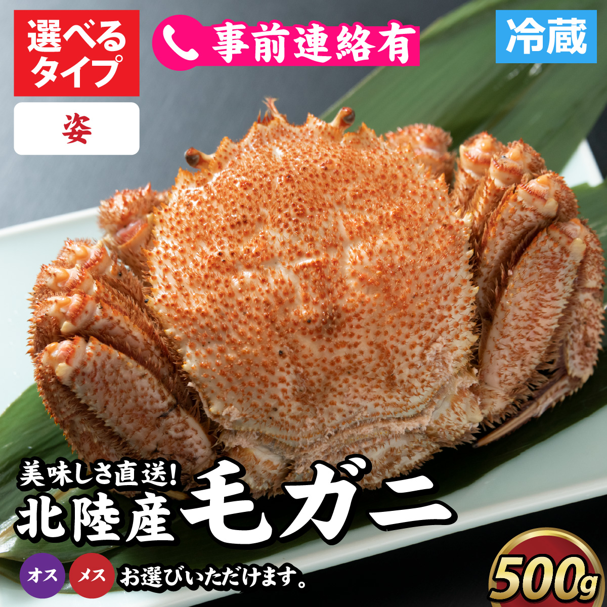 【姿】【成前特選】美味しさ直送！北陸産毛ガニ500ｇ前後×1杯（オス,メス） [B-028006_01]