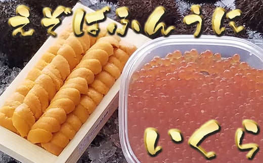 D-71059【12/17まで年内配送】 エゾバフンウニ100g×1折、いくら醤油漬け150g×1P[11月中旬以降発送]