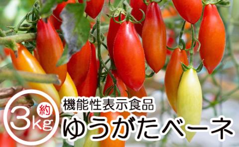 機能性表示食品 ミニトマト ゆうがたベーネ 約3kg（1kg×3箱）- 送料無料 野菜 プチトマト フルーツトマト ギフト 高糖度 贈答用 贈り物 高知県 香南市 常温 冷蔵 is-0008