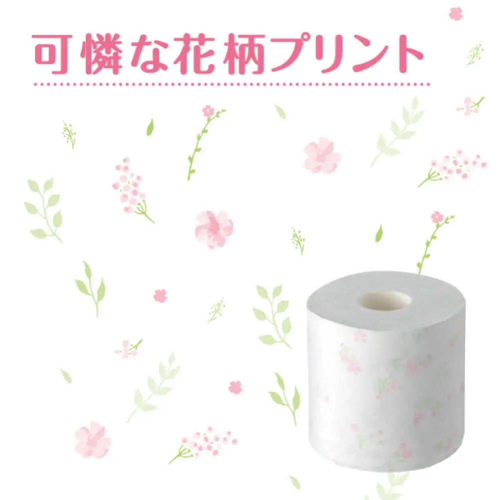 【全3回定期便(2ヵ月に1回)】クリネックス システィ（ダブル） 40ロール(4ロールｘ10パック) トイレットペーパー [BDAM005]