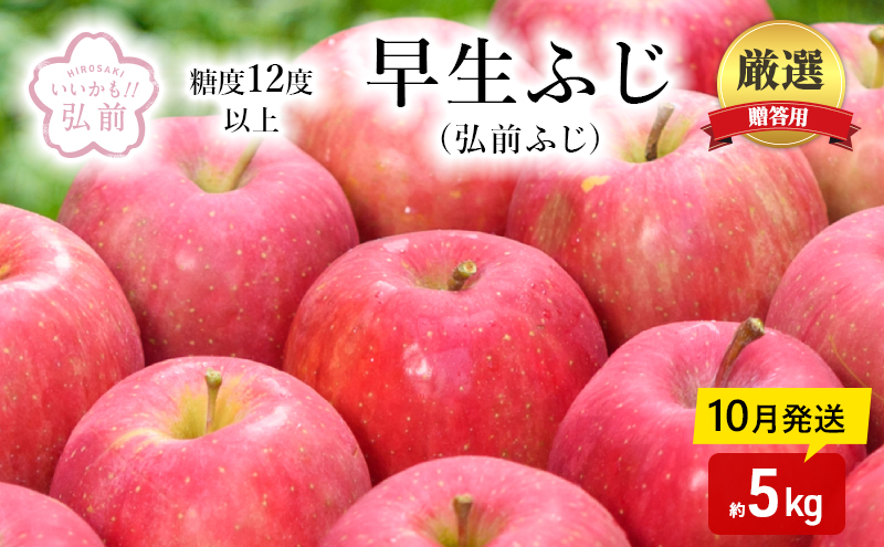 
【10月発送】（糖度12度以上）贈答用 早生ふじ (弘前ふじ) 約 5kg 【弘前市産 青森りんご】
