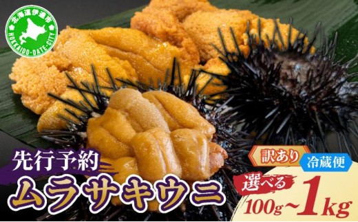 
                  【選べる内容量】＜先行予約＞ 北海道産 ムラサキウニ（訳あり）100g～1kg【ogm-028-sku】生うに 塩水うに ミョウバン不使用 海鮮 訳あり 国産 北海道 伊達 ふるさと納税
                