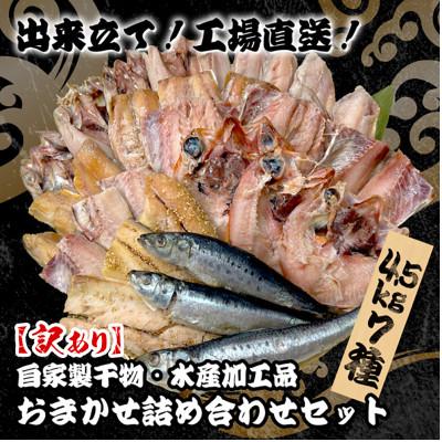 ふるさと納税 大網白里市 【訳あり】出来立て!工場直送! 自家製干物・水産加工品おまかせ詰め合わせセット7種 合計約4.5kg