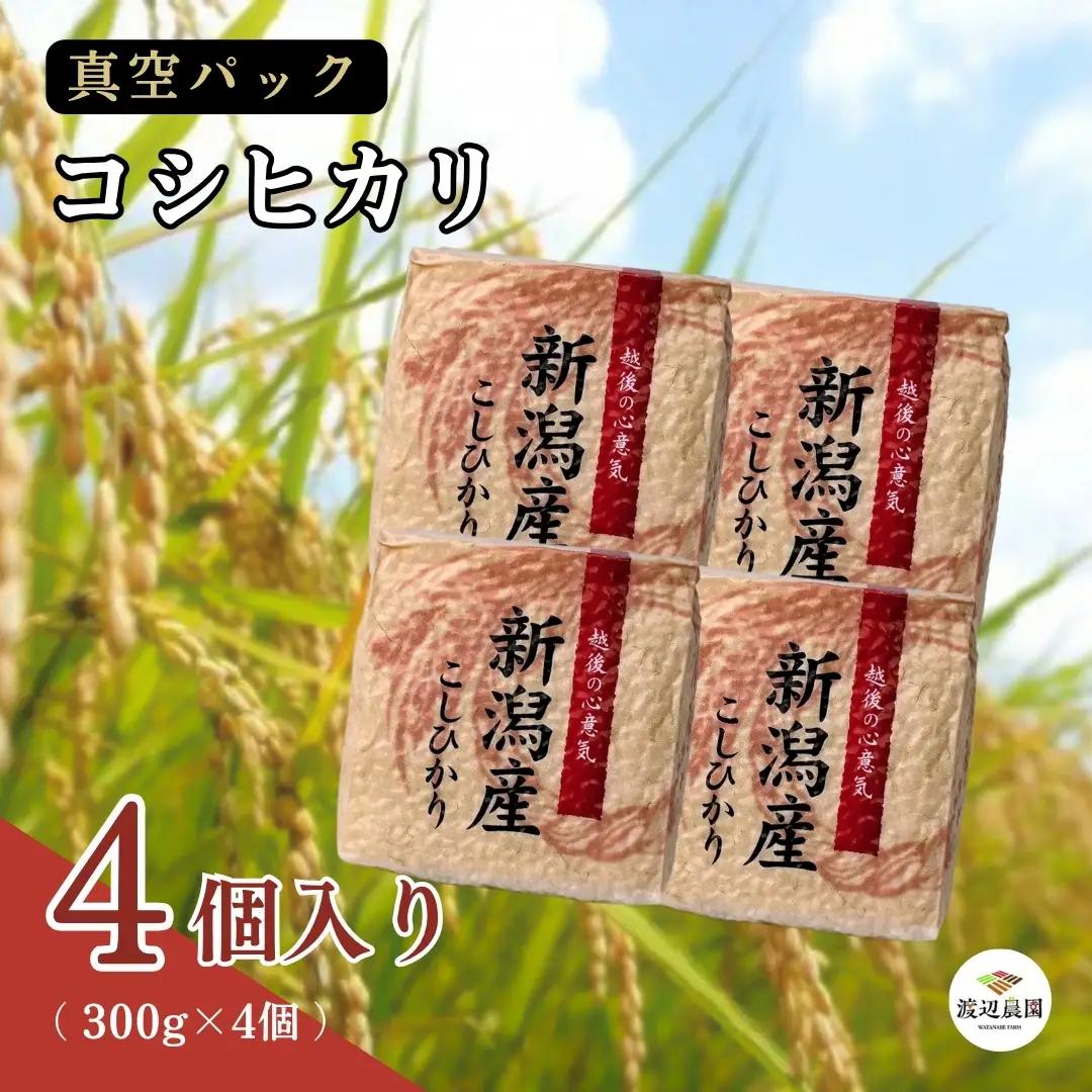 コシヒカリ 真空パック 精米 300g×4個 渡辺農園 こしひかり | 新潟県 五泉市 コシヒカリ