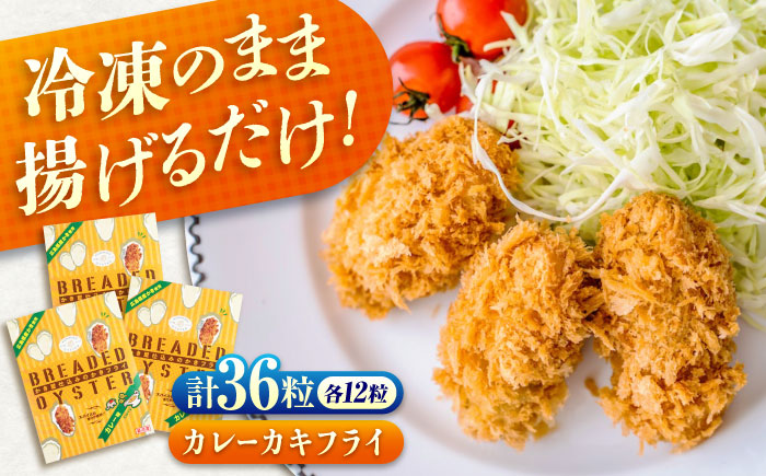 冷凍 カキフライ  (カレー 計36粒)  広島県産 冷凍カキフライ 広島牡蠣 牡蠣 かき カキ  料理 簡単 魚介類 海鮮 ギフト 広島県福山市/クニヒロ株式会社 [BACG010]