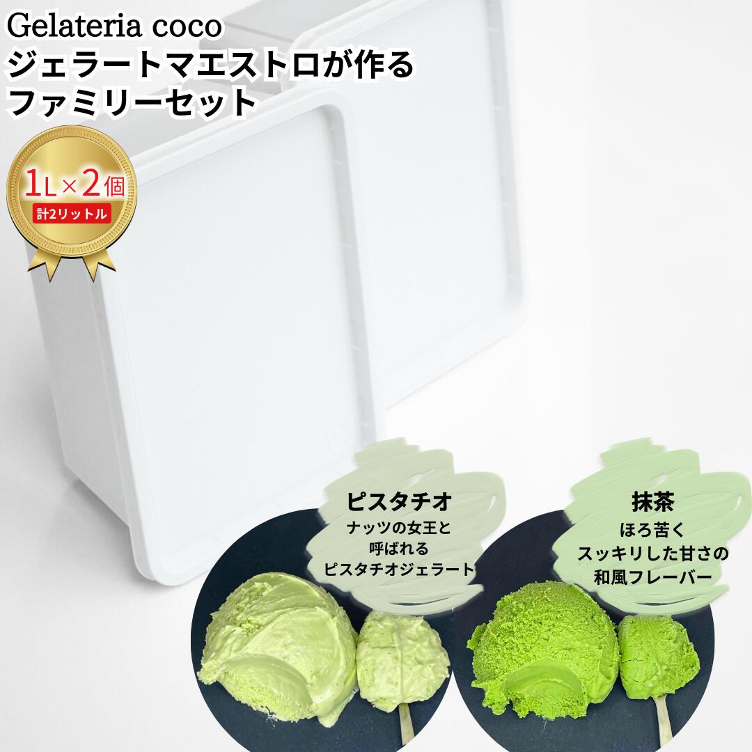 【ふるさと納税】ジェラートマエストロが作るファミリーセット 1L×2 合計2L[ピスタチオ・抹茶] ジェラート アイス 大容量 ファミリーパック 添加物不使用 [Gelateria coco]【017S093】