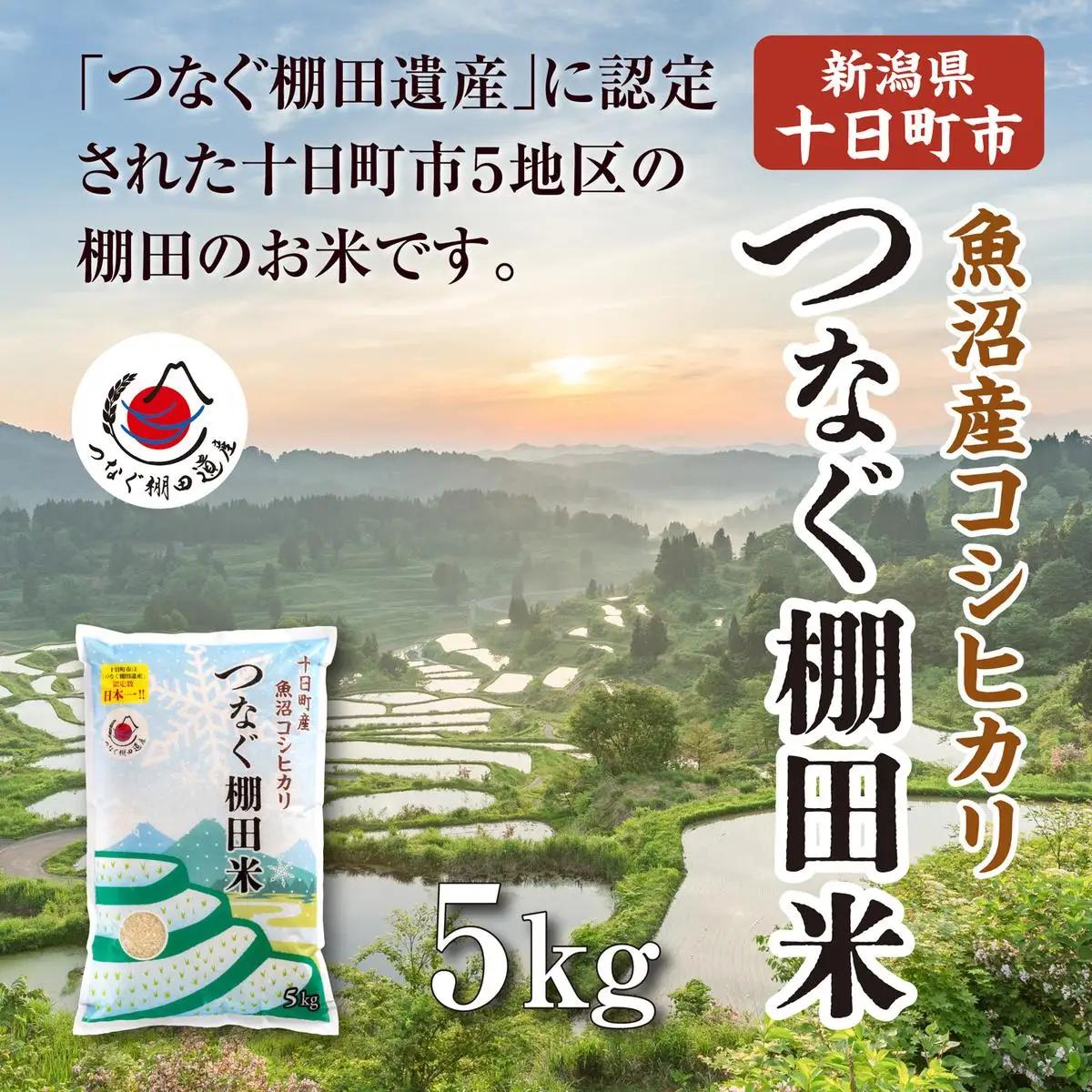 【令和8年産 先行予約】精米5kg　産新潟県十日町市魚沼産コシヒカリ「つなぐ棚田米」 米 こしひかり 精米 十日町市