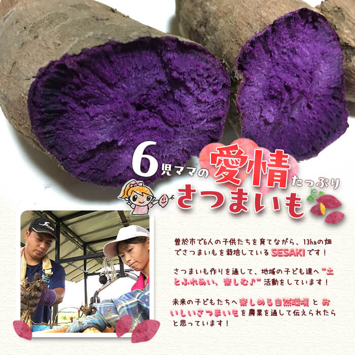 【数量限定】紫芋 加工用さつまいも紫優(5kg) 芋 さつまいも 紫芋【瀬崎農園】A418-v01