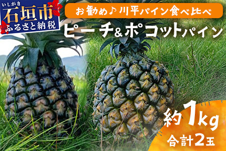 【予約受付】ピーチ＆ポコットパイン食べ比べ 1ｋｇ（計２玉）お勧め♪川平パイン《2025年5月～7月頃順次発送》KN-5