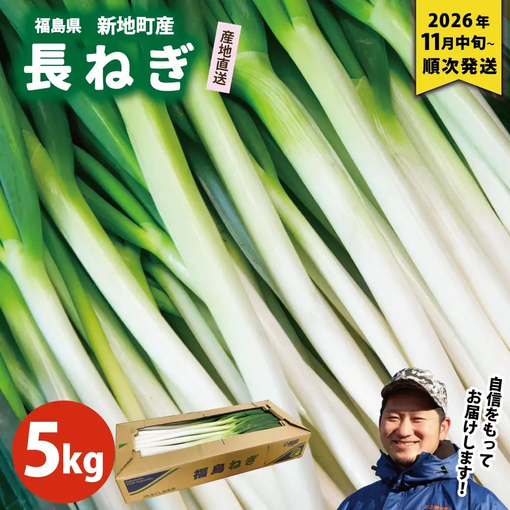 新地町産 長ネギ 約5kg 1箱 | 野菜 やさい 食品 人気 おすすめ 送料無料 ねぎ ネギ 葱 長ねぎ お取り寄せ 福島県 新地町 白ねぎ 鍋