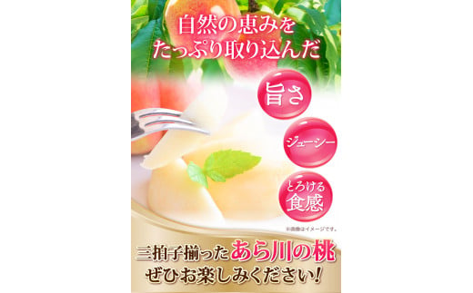 桃ももあら川の桃和歌山県産紀州の名産旬の桃厳選約4kg12-15玉入り《2024年6月中旬-8月中旬頃出荷》和歌山予約あかつき ---wfn_cwlocal40_q68_23_22000_4kg---