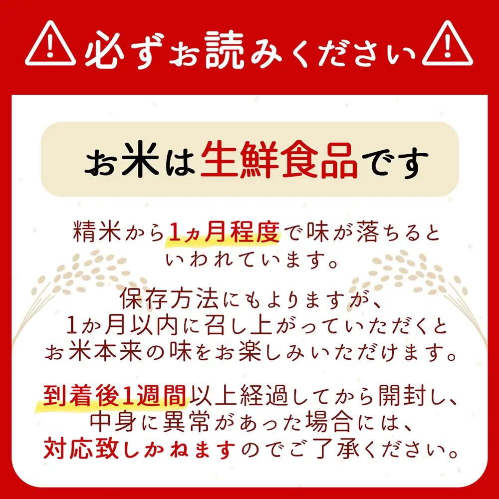 【定期便】＜令和8年産＞雪若丸 無洗米 5kg×1袋×6ヶ月 毎月 5kg 山形県庄内町産 余目産 庄内米 ブランド米 米 お米の定期便 粒立ち しっかり食感 粘り 控えめ 硬め 食べ応え抜群 ごはん