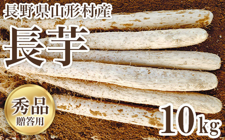 長野県山形村産 長芋 秀 10kg 3214