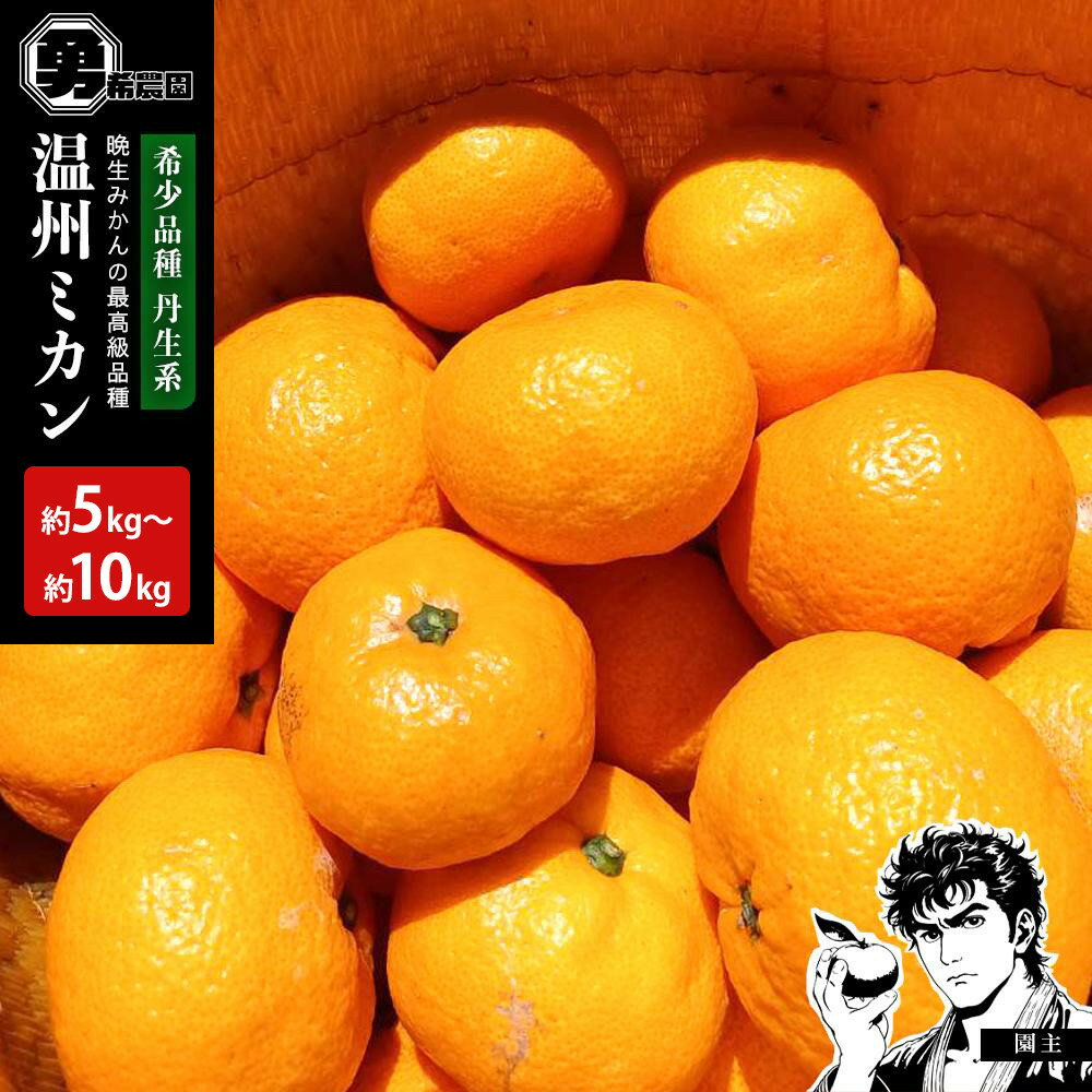 【ふるさと納税】【選べる容量】先行予約希少品種 丹生系 温州みかん 5kg or 約10kg（約5kg×2箱） 秀・優混合 サイズ混合 2026年2月中旬頃発送 | みかん 蜜柑 フルーツ 果物 くだもの 食品 人気 おすすめ 送料無料