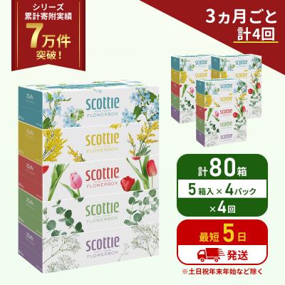 ふるさと納税 岩沼市 定期便 ティッシュ スコッティ80箱 (5箱×4P)《計4 回》[No.5704-1136]