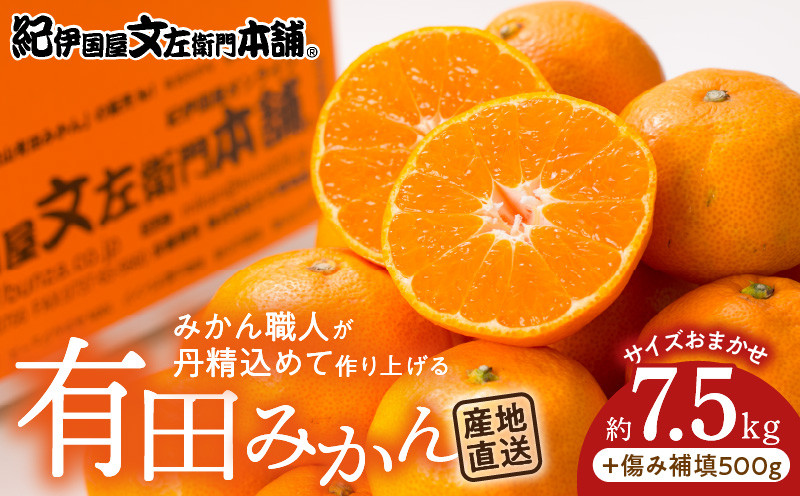 
                  V7441_【2026年先行予約】有田みかん約7.5kg(+傷み補填分500g)=合計8kg【サイズおまかせ】／産地直送／紀伊国屋文左衛門本舗（お届け日指定不可）
                