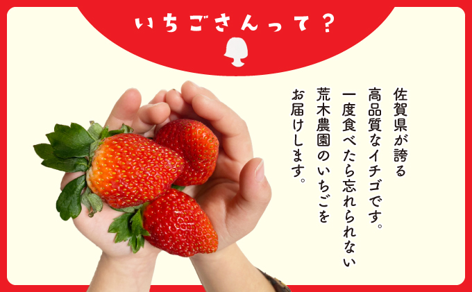 佐賀県産いちご 「いちごさん」 480g (240g×2P) 34an-0001
