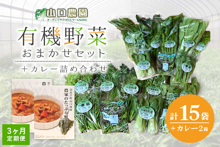 定期便 ３ヶ月 山口農園 有機野菜 おまかせセット＋カレー２箱 詰合せ 冷蔵 月１回 ／ふるさと納税 山口農園 有機野菜 伝統野菜 オーガニック ベジタリアン 定期便 カレー  野菜セット 農家直送 