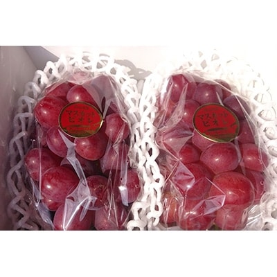 パリッと皮ごと食べられるマスカットビオレ1.3kg【配送不可地域：離島】