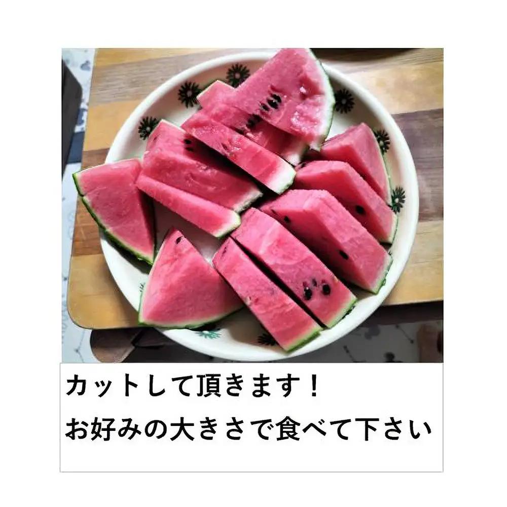 シャリっと甘い小玉スイカ！あきた夏丸チッチェ＜大1個＞　70P3404
