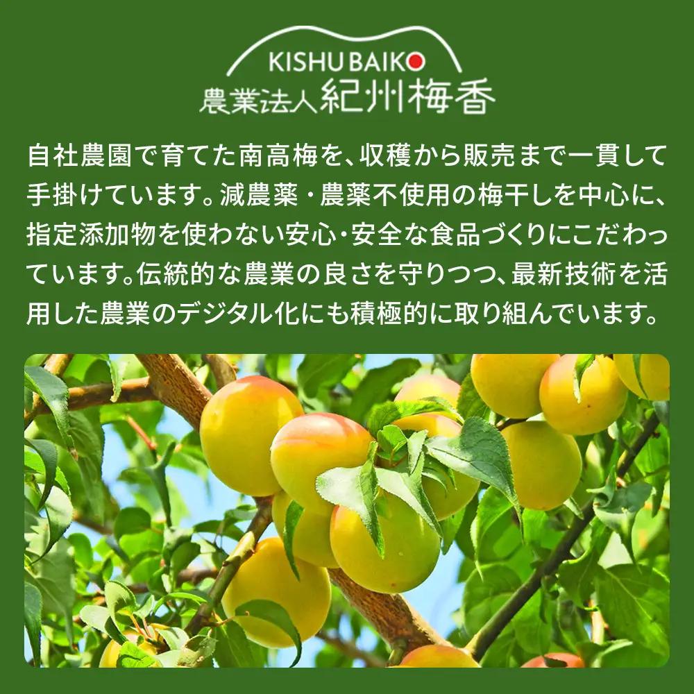 はちみつ梅 無添加 梅干し 訳あり つぶれ梅 約1kg(500gパック×2個) 低塩6% 6-G ［KU1］