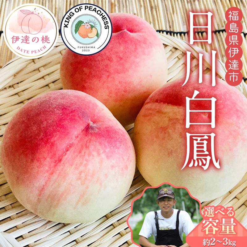 【ふるさと納税】＼容量が選べる／キングオブピーチ 桃 「日川白鳳」約2kg～3kg 日川白鳳 伊達の桃 桃 もも モモ 果物 くだもの フルーツ 国産 食品 F21C-147var