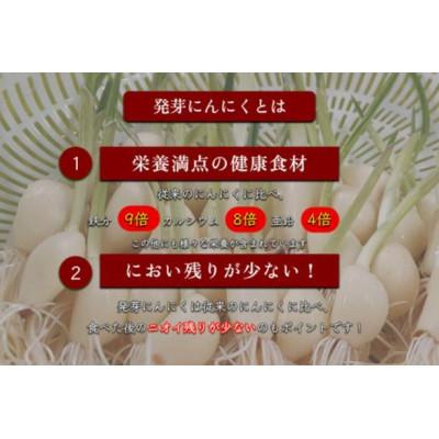 ふるさと納税 海津市 岐阜県海津市産　栄養価満載!臭い残り少ない!発芽にんにく使用　「ガツンとにんにく餃子」1パック |  | 02