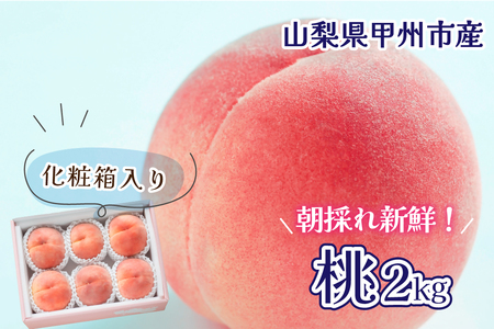 【桃の名産地 甲州市大藤の桃】光センサー選果 朝もぎモモ 約2kg 5～8玉【2025年発送】（VYD) B12-810【桃 もも モモ 令和7年発送 期間限定 山梨県産 甲州市 フルーツ 果物】