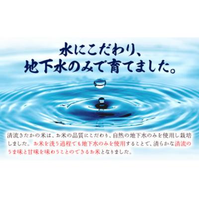 ふるさと納税 氷川町 令和7年産 無洗米 清流きたかの米 10kg《2月出荷予定》 |  | 01