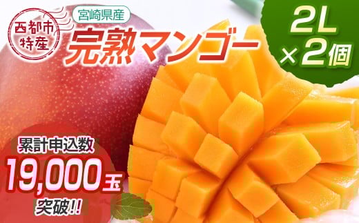 【先行予約】西都市産完熟マンゴー2L×2個　計700g以上 2026年発送＜1.2-39＞