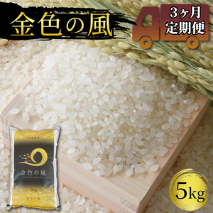 3ヶ月 定期便 米 5kg 金色の風 白米 お米 1等米 精米 ご飯 朝食 昼食 夕食 国産 岩手県 大船渡市