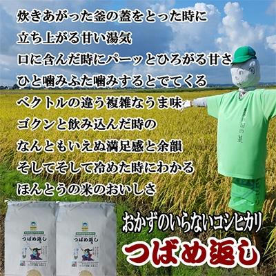 ふるさと納税 燕市 【7年産新米先行予約】おかずのいらないコシヒカリ「つばめ返し」10kg(5kg×2袋) |  | 03