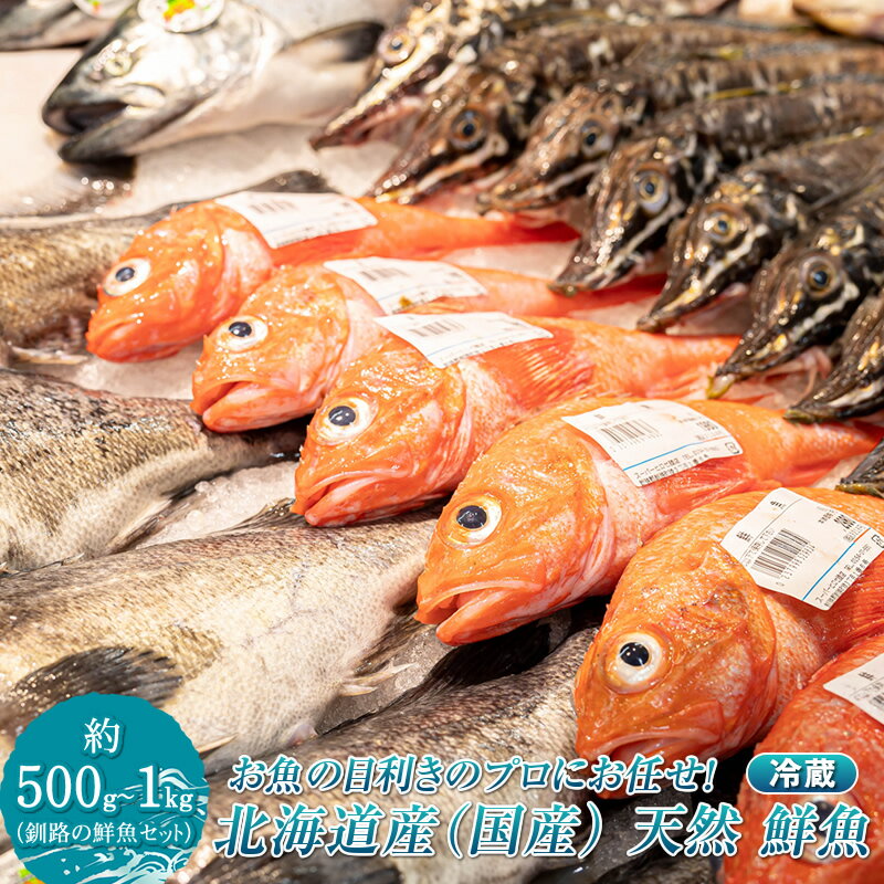 【ふるさと納税】 お魚の目利きのプロにお任せ！北海道産（国産） 天然 鮮魚 約500g〜1kg（釧路の鮮魚セット）| ワンストップ特例制度 オンライン 冷蔵 冷蔵便 魚介類 魚 魚介 干物 切り身 パック 詰め合わせ 北海道 釧路町 釧路超 特産品 br04
